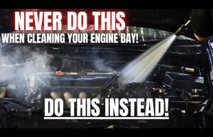 Never Do THIS When Cleaning Your Engine Bay! Do THIS Instead