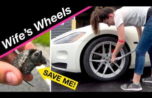 Her MASERATI smells like turtle pee with NEW WHEELS!