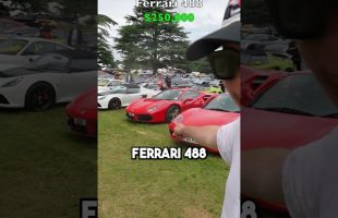 You Won’t Believe The Cars Just Sitting Here…