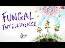 Fungal Intelligence – Conscious Mushrooms, Zombie Ants & The Hidden Wisdom of Nature