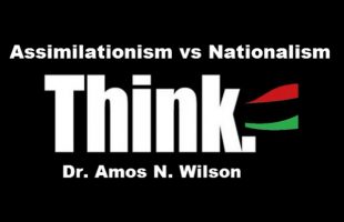 Dr. Amos Wilson The Black Family & Marriage