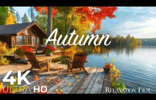 Autumn Forest 4K • Fall Relaxation Film with Romantic Music | Nature 4K Ultra HD