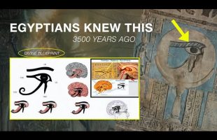 “Connecting to 5th Dimension” (Eye of Horus Activation)