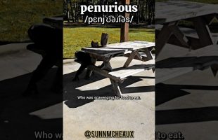 Word of the Day: PENURIOUS Pt.1 #education #linguistics #language #lesson #satire 🎭 #weoutchea