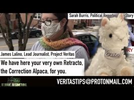 Raw Story “Journalist” Sarah Burris SPEECHLESS When Presented Retracto Plushie By Veritas Journalist