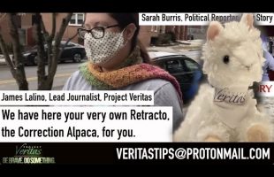 Raw Story “Journalist” Sarah Burris SPEECHLESS When Presented Retracto Plushie By Veritas Journalist