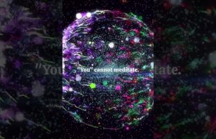 Alan Watts – You Cannot Meditate