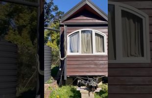 Two Giant Snakes on a Tiny House!!! 😳