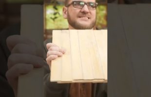 Can You Make Plywood with Milk? #experiment #science #diy
