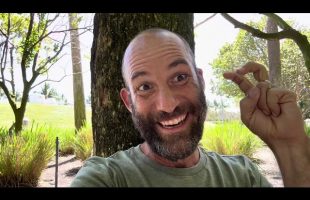 Question: How Do You Get a Job with a FAANG Company