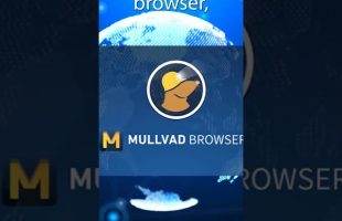 Browser Alternatives