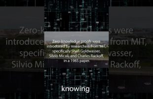 Zero Knowledge Proof Explained