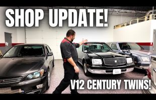 Shop Update! V12 Century Twins and a Returning Resident!