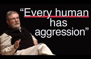 The Potential of Transformed Aggression and Gender Differences: Robert Moore | Jungian Psychology