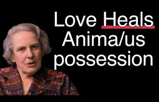 When a Woman’s Animus Attacks: A Man’s Path to Love and Understanding (Marie-Louise von Franz)