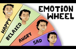 The Emotion Wheel – How to use it