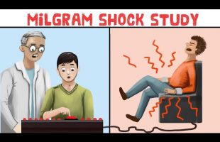 The Milgram Experiment – Shock Study on Obedience Conclusions