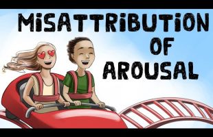 Misattribution of Arousal (Definition + Examples)