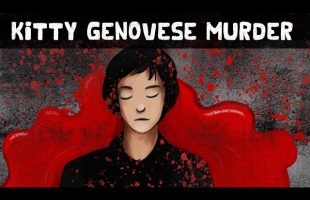 The Kitty Genovese Case: The Bystander Effect + The TRUTH