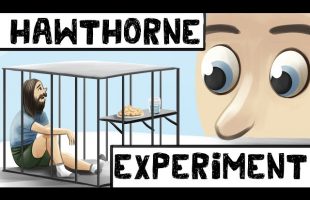 The Hawthorne Effect (Definition + Examples)