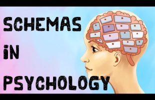 What is Schema Theory in Psychology?