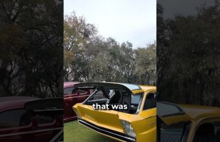 The Craziest Car Door