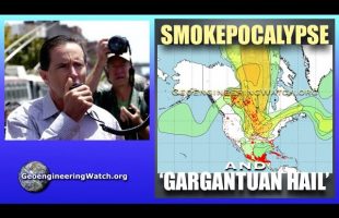 Geoengineering Watch Global Alert News, May 31, 2025, # 512 ( Dane Wigington )