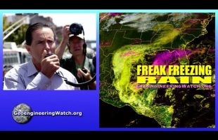 Geoengineering Watch Global Alert News, February 22, 2025, # 498 ( Dane Wigington )