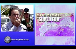 Geoengineering Watch Global Alert News, February 8, 2025, # 496 ( Dane Wigington )