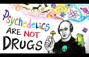 Joe’s Epic Rant About Psychedelics – Animated by After Skool