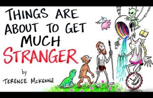 The End of Time – Novelty Theory – Terence McKenna