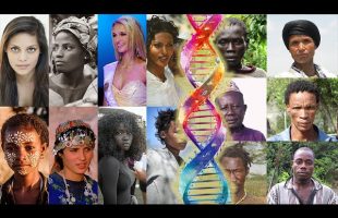 The African Vs African American Genome