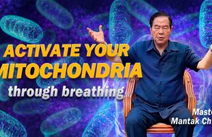 5-Min Guided Taoist Embryonic Breathing Meditation | Master Mantak Chia☯️