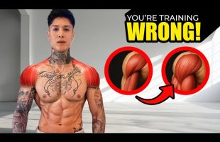 YOUR SHOULDERS NEED THESE EXERCISES FOR CALISTHENICS | STRENGTH + MUSCLE