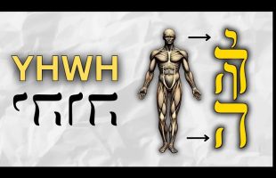 How YHWH is YOUR name not “GODs”