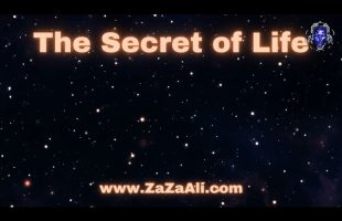 Finding Harmony with Self | ZaZa Ali