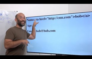 Form Validation and Sanitization with Javascript and Python