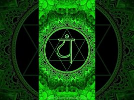 ALL CHAKRAS – Open & Balance All Chakras – Quick Chakra Tune Up – Day 55 – #shorts