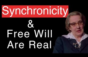 Marie-Louise von Franz about Synchronicity, Singularity, Fate & Free Will | Jungian Psychology