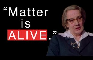 Treating Matter with Loving Care: Marie Louise von Franz in Interview