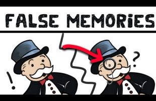 False Memories and Memory Errors (The Mandela Effect!)