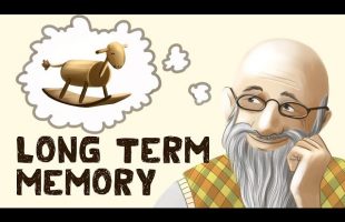 Long Term Memory (Free Test + Examples)