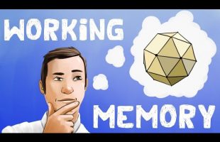 Working Memory (Test + Examples)