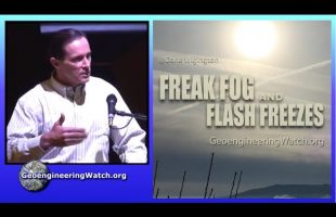 Geoengineering Watch Global Alert News, January 4, 2025, # 491 ( Dane Wigington )