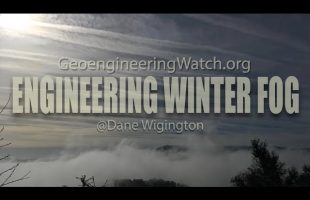 Engineering Winter Fog, 90 Second Alert