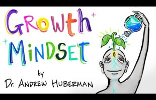 How Feedback Affects Performance – Andrew Huberman – Growth Mindset
