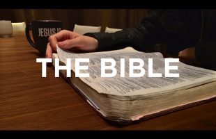 The Bible Literally