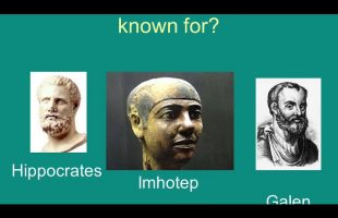 The father of Medicine Imhotep by Dr Yosef Ben