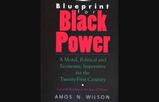 Amos N. Wilson | Educating Africans in America for the 21st Century