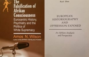 Dr. Amos Wilson, Falsification of Afrikan Consciousness Part 1 – RAM Book club